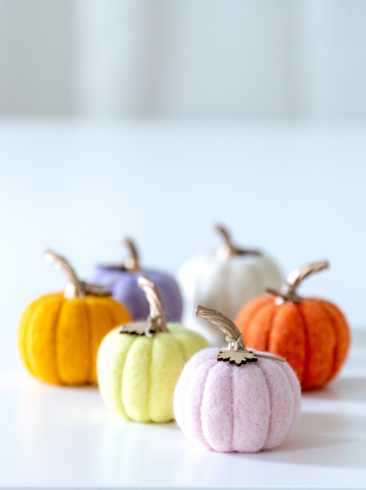 Shiraleah New Harvest Set of 6 Assorted Felt Pumpkins, Multi