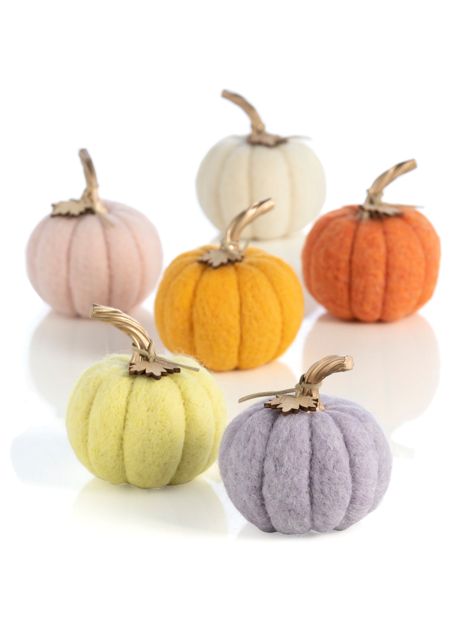 Shiraleah New Harvest Set of 6 Assorted Felt Pumpkins, Multi